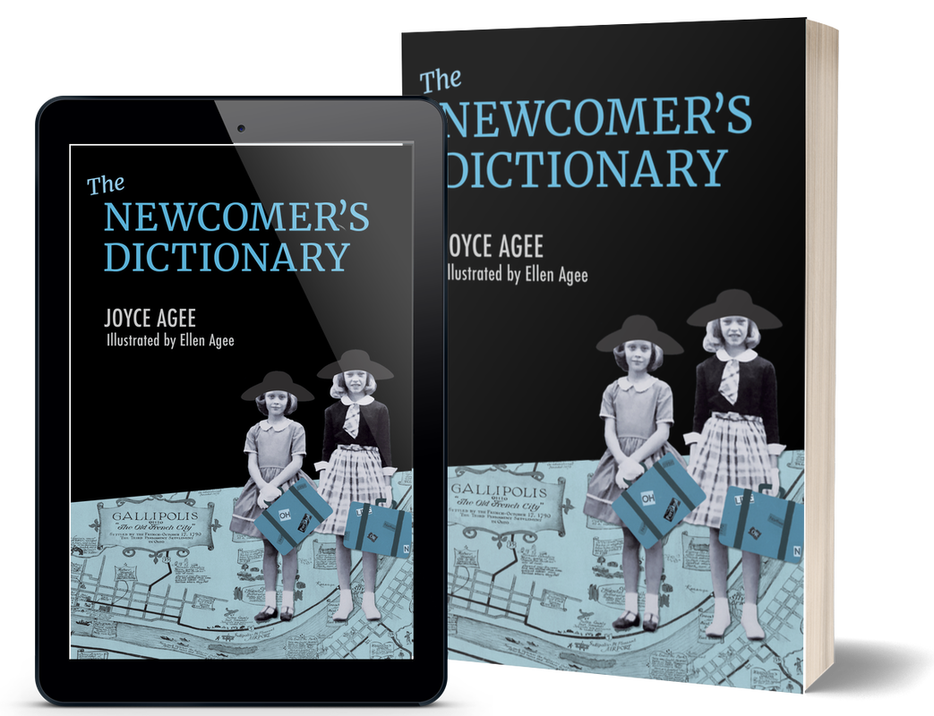 The Newcomer's Dictionary
